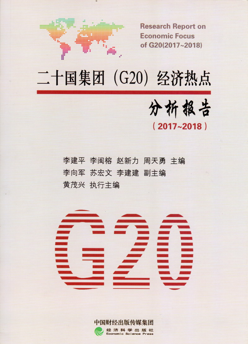 大鸡巴好爽插我骚逼视频二十国集团（G20）经济热点分析报告（2017-2018）